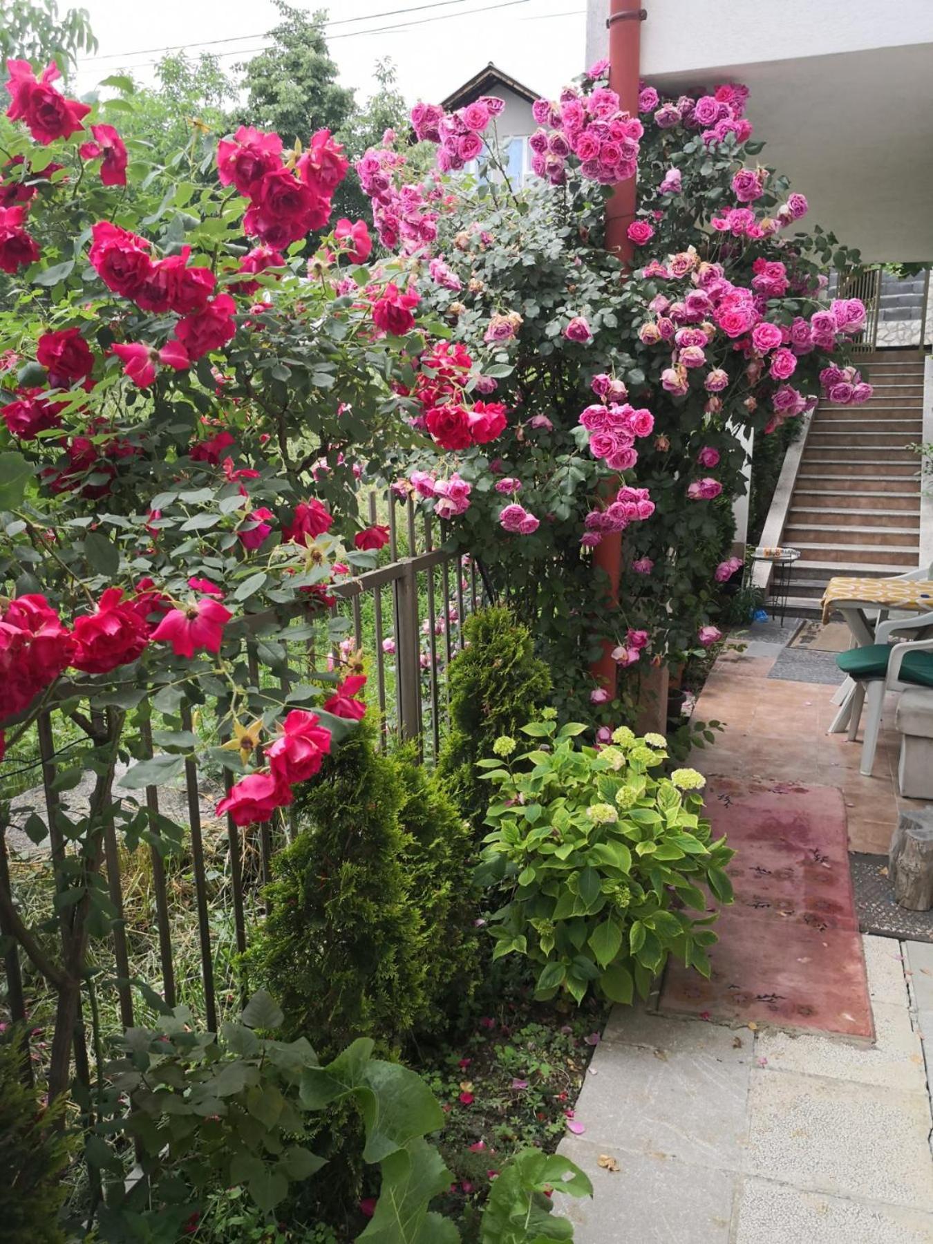 Rest & Recharge 4Bdr Apt- Free Parking, Ac & Garden SJJ Esterno foto